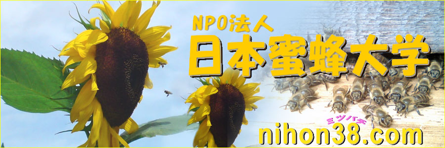 ニホンミツバチ 蜜蜂 ミツバチ みつばち 飼育 販売NPO法人 日本蜜蜂大学 -販売品-